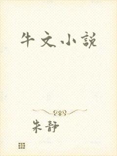 牛文小说