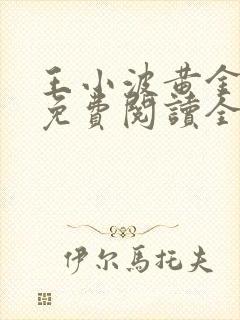 王小波黄金时代免费阅读全文