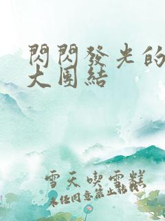 闪闪发光的小说大团结