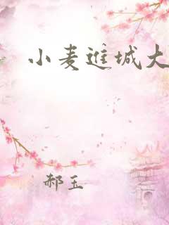 小麦进城大结局