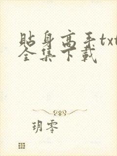 贴身高手txt全集下载