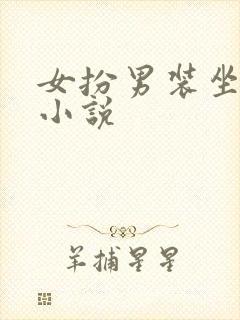 女扮男装坐江山小说