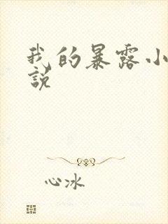 我的暴露小说小说