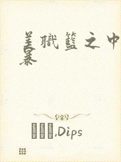 美职篮之中国风暴