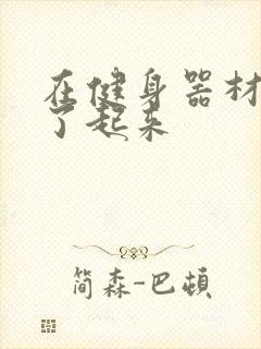 在健身器材上做了起来