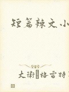 短篇辣文小说