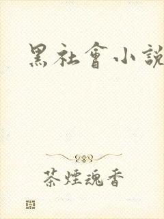 黑社会小说下载