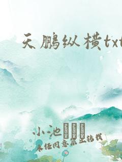 天鹏纵横txt