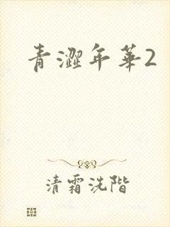 青涩年华2
