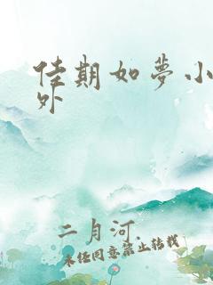 佳期如梦小说番外