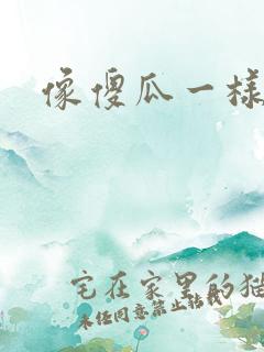 像傻瓜一样去爱