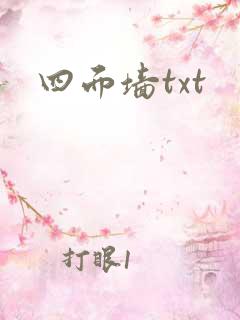 四面墙txt