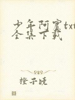 少年阿宾txt全集下载
