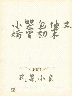 小哭包他又软又娇曾初末