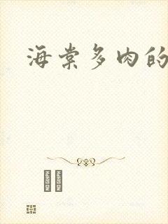 海棠多肉的文笔