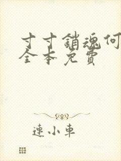 寸寸销魂何生祥全本免费