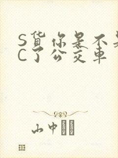 S货你是不是欠C了公交车