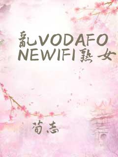 乱VODAFONEWIFI熟女