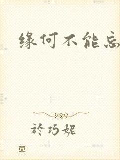 缘何不能忘记你