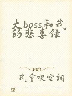 大boss和我的悲喜录