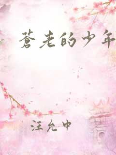 苍老的少年