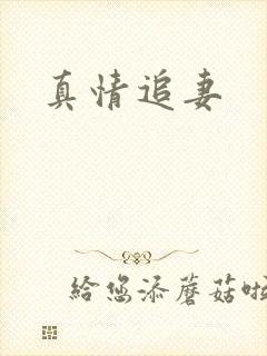 真情追妻
