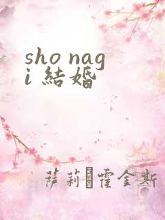 sho nagi 结婚