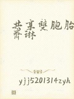 共享双胞胎齐娜齐琳