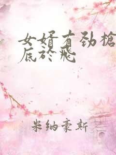 女婿有劲枪枪到底于飞