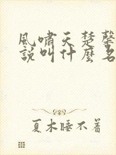 风啸天楚馨月小说叫什么名字