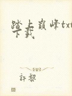 踏上巅峰txt下载