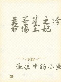 并蒂莲之冷酷王爷伤王妃