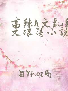 高辣h文乱乳h文浪荡小说txt