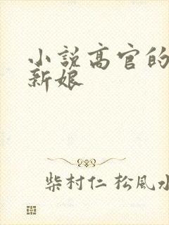 小说高官的暗夜新娘