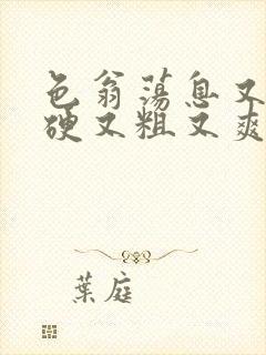 色翁荡息又大又硬又粗又爽