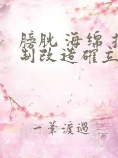 膀胱 海绵 控制改造确立m