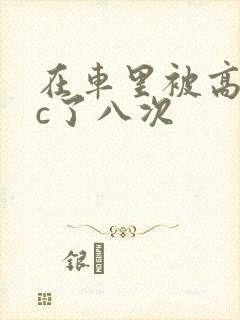 在车里被高潮被c了八次