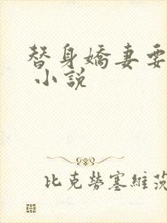 替身娇妻要离婚 小说