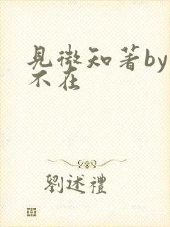 见微知著by音不在