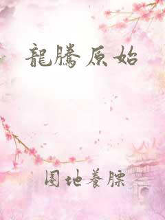 龙腾原始