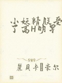 小妖精朕受不了了高H明星