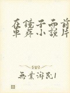 在镜子面前做开车疼小说片段