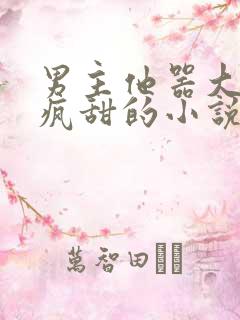 男主他器大活好疯甜的小说