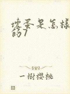 坏蛋是怎样炼成的7