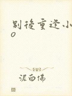 别后重逢小说po