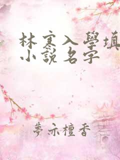 林寒入学填未婚小说名字