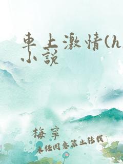 车上激情(h)小说