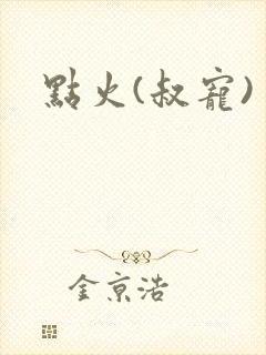 点火(叔宠)
