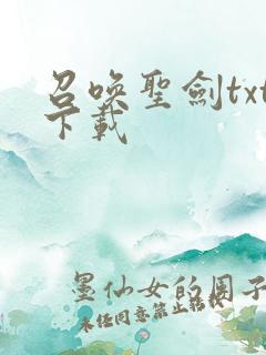 召唤圣剑txt下载