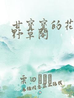 甘宝宝的花苞澜野草阁